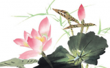 佛教放生三皈依步骤