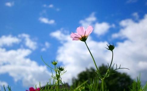 人生真正的意义 \