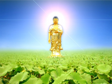“阿弥陀佛”的“阿”应该如何念才正确？有何含义？