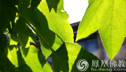 大智若愚 勿恃聪明