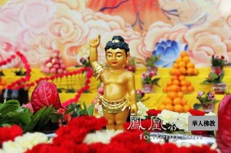 佛陀出生第一天就有这种惊人宏大誓愿
