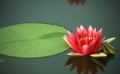 能忍才是幸福！