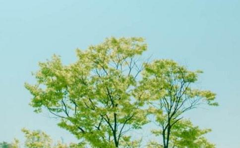 人靠德行养好身体的秘密