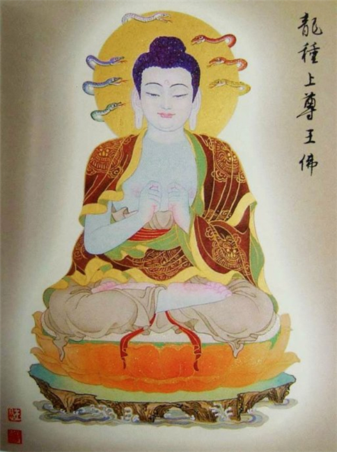 八十八佛图片之龙种上智尊王佛