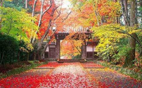 道场无处不在 随时随地禅修