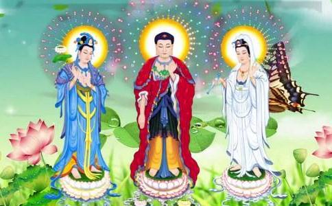 修观想念佛应注意的事项