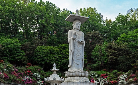 太虚大师：答苇舫问
