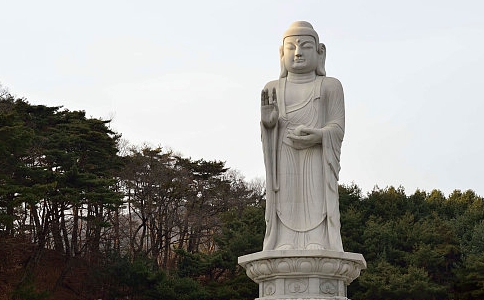 太虚大师：答罗普悟问（五则）