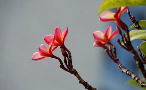 不能看破女色必然后患无穷
