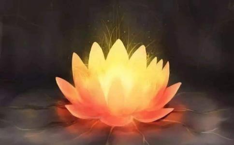 谛观九品莲 临命愿往生