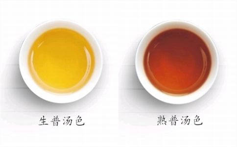 普洱生茶和熟茶的区别