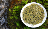 君山银针茶的功效及泡法