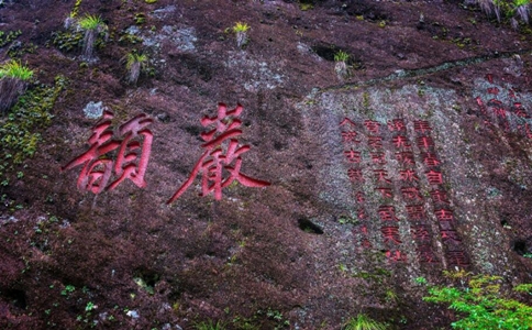 武夷岩茶属于什么茶？有何功效与作用？