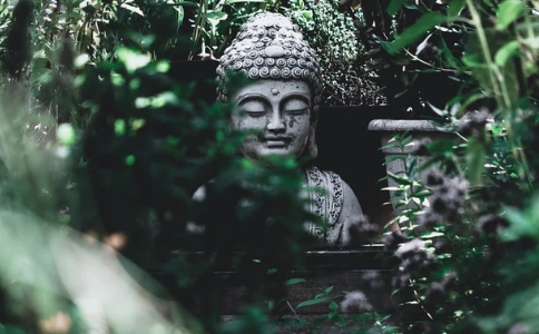 明向法师：如何开悟？怎样才能明心见性？