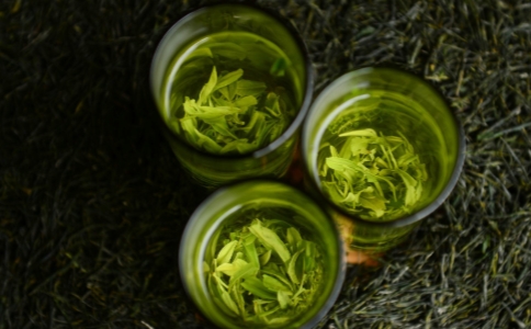 恩施玉露是什么茶？恩施玉露茶的制作工艺