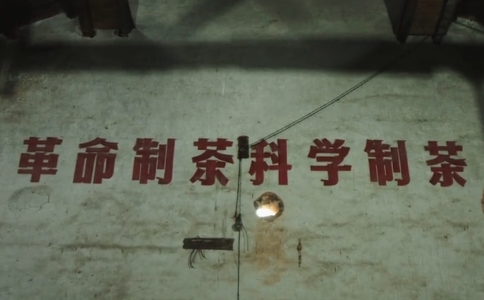 坦洋工夫是什么茶？坦洋工夫红茶的起源与特点