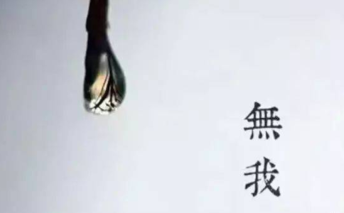 放下自我的幻觉