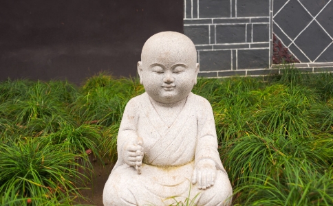 传正法师：去除贪嗔痴，与道相应