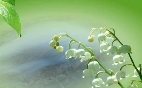 果证法师：深信因果是入道的根本基础