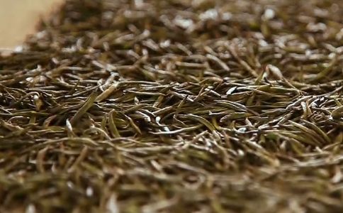 天柱剑毫是什么茶？天柱剑毫的功效与作用