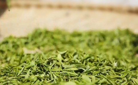 松萝茶属于什么茶？松萝茶的功效与传说