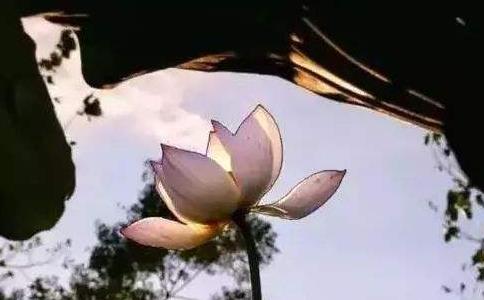 正如法师：禅定生智慧