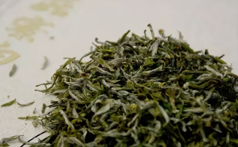 香菇寮白毫是什么茶？泰顺香菇寮白毫介绍