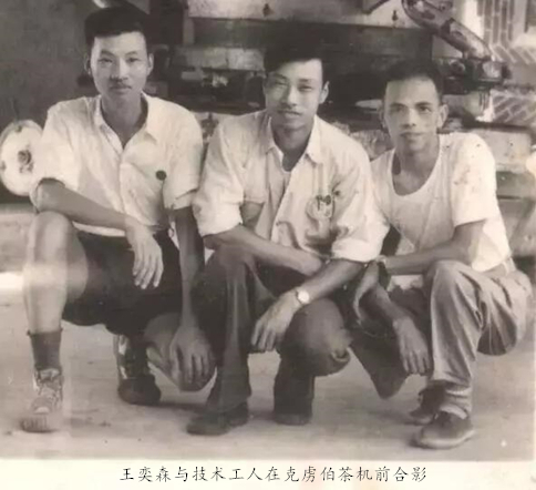 新工艺白茶是什么？创始人是谁？历史有多久？