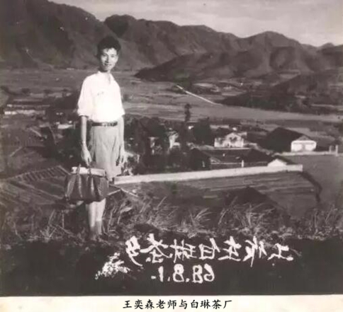 新工艺白茶是什么？创始人是谁？历史有多久？