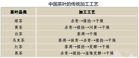 茶树的原产地在哪里？六大茶类的茶树是一样的吗？