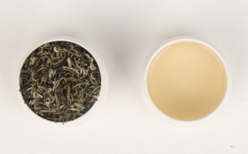 茶树的原产地在哪里？六大茶类的茶树是一样的吗？