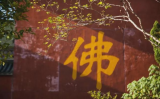 忍辱要与佛法相应 身口意愿必然安乐 忍辱要与佛法相应 身口意愿必然安乐