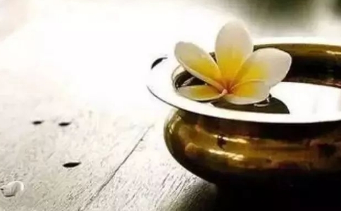 宗性法师：生活在感恩的世界
