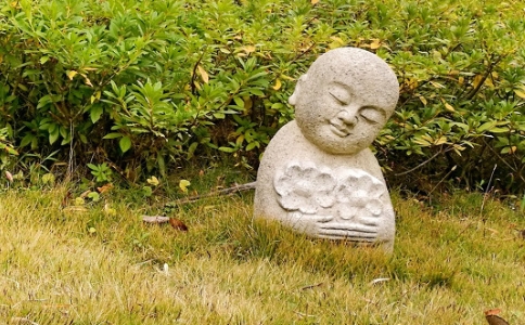 本智法师：修行路上如何善护菩提心？