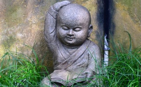 本智法师：为什么一念经就昏沉，该怎么办？