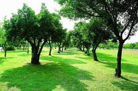 佛理禅机：修去过多欲望 我们才能拥有宁静和愉悦