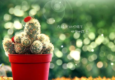 佛理禅机:真正的慈善是友善的对待每个人