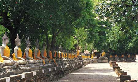 佛理禅机：没有任何目的爱 就是佛法精神