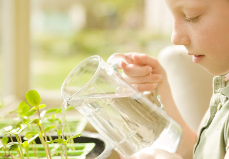 佛理禅机：人生有些事是不能代替的