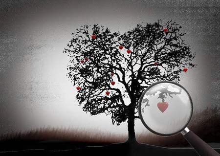 佛理禅机：你的心态就是你的主人