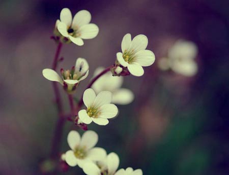 佛理禅机：世间的所有现象皆生于因缘