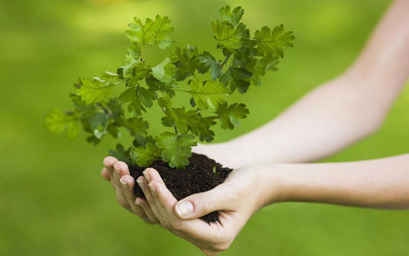 佛理禅机：学习独立，不作欲望的奴隶