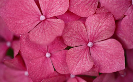 佛理禅机：内在的完美和全然