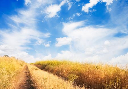 佛理禅机：以禅者的慧眼看世界万里无云