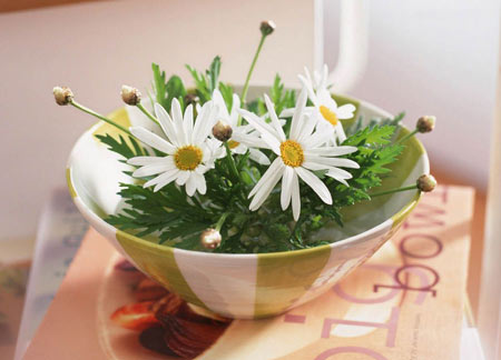 佛理禅机：少欲知足，比较容易得到幸福