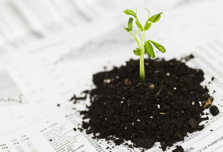 佛理禅机：生命——脆弱还是坚强