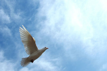 佛理禅机：能够做到“无我”，世界才会和平