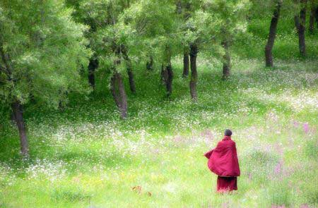 佛理禅机：争——最纷扰的一个字