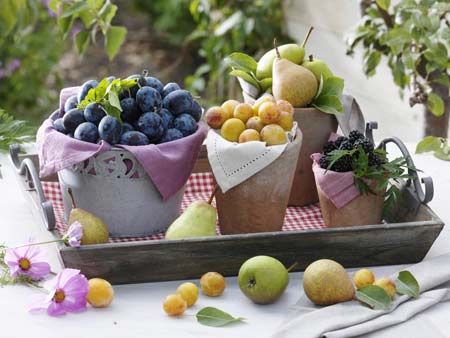 佛理禅机：无忧之心——只问耕耘不问收获