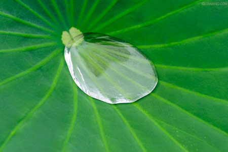 佛理禅机：不要暗淡你生命的光辉